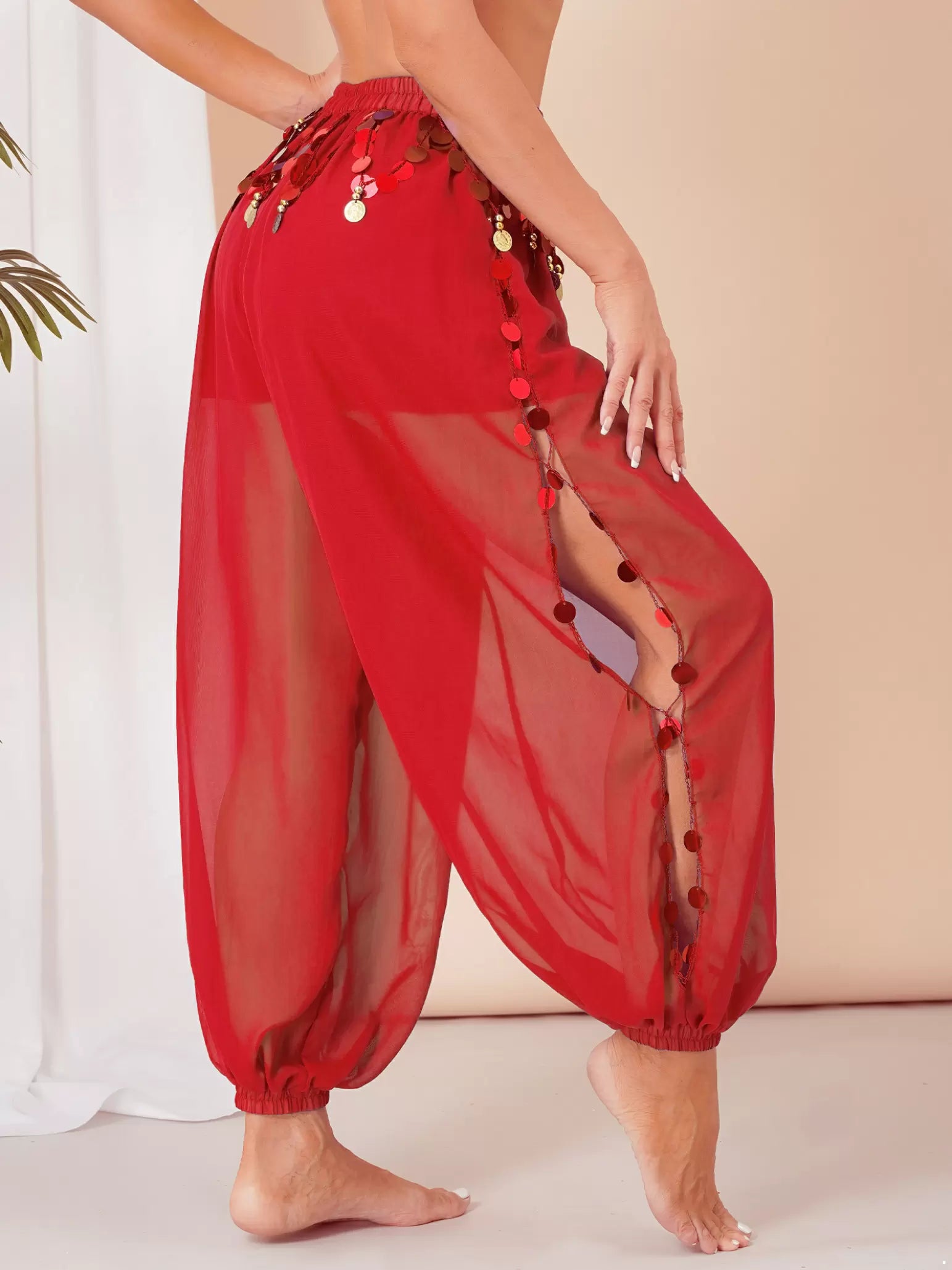 Women Side Slit Sequins Semi See-Though Belly Dance Pants