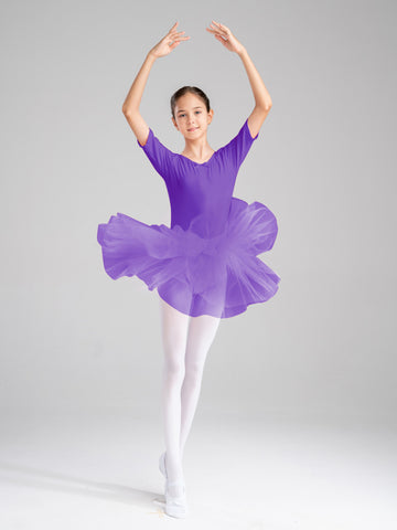 Kids Girls Short Sleeve Ballet Dance Dress Tulle Tutu Skirt Leotard